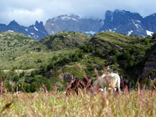 Chile-Patagonia / Torres del Paine-Torres del Paine - Blue Ice Ride/Kayak Combo